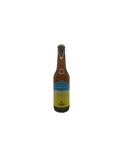 PILSNER HORITZONS 33cl 