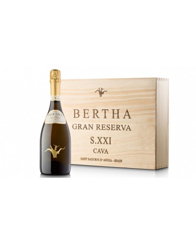 Bertha Siglo XXI Gran Reserva 2009