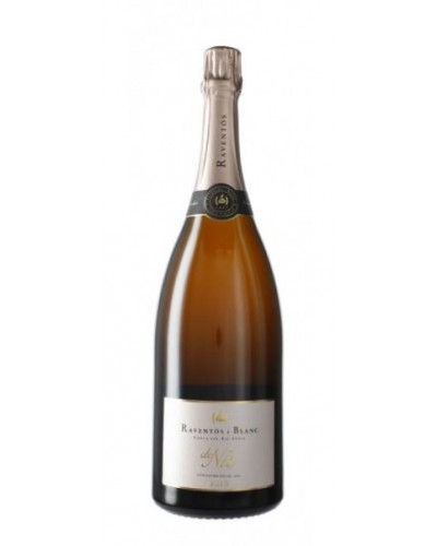 Raventós i Blanc De Nit 2020 MAGNUM ECO