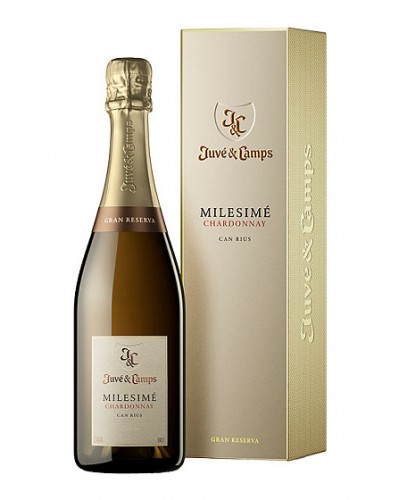 Cava Milesime Chardonnay ESTUCHE Juve&Camps