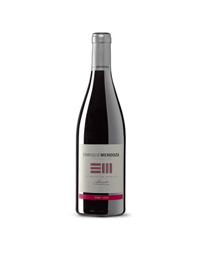 ENRIQUE MENDOZA PINOT NOIR 19'