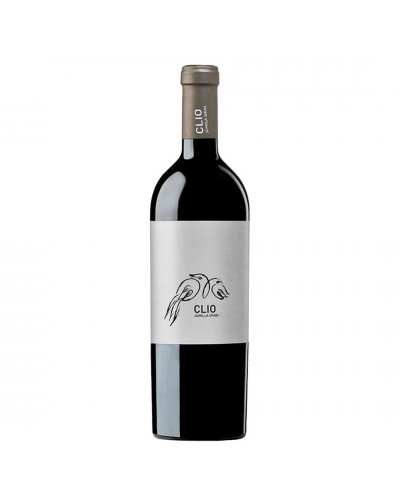 Clío 2018/19 MAGNUM 1,5L